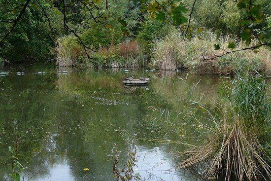 Russia Dock Woodland Parkı